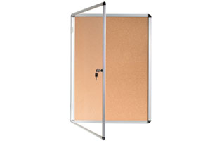 Transparent Acrylic Door